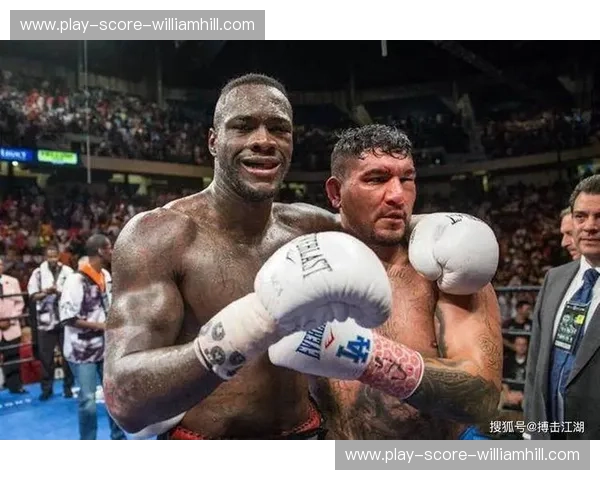 永恒的铁拳vs毁灭的重锤：大克里琴科与维尔德，谁才是重量级真正的终结者？